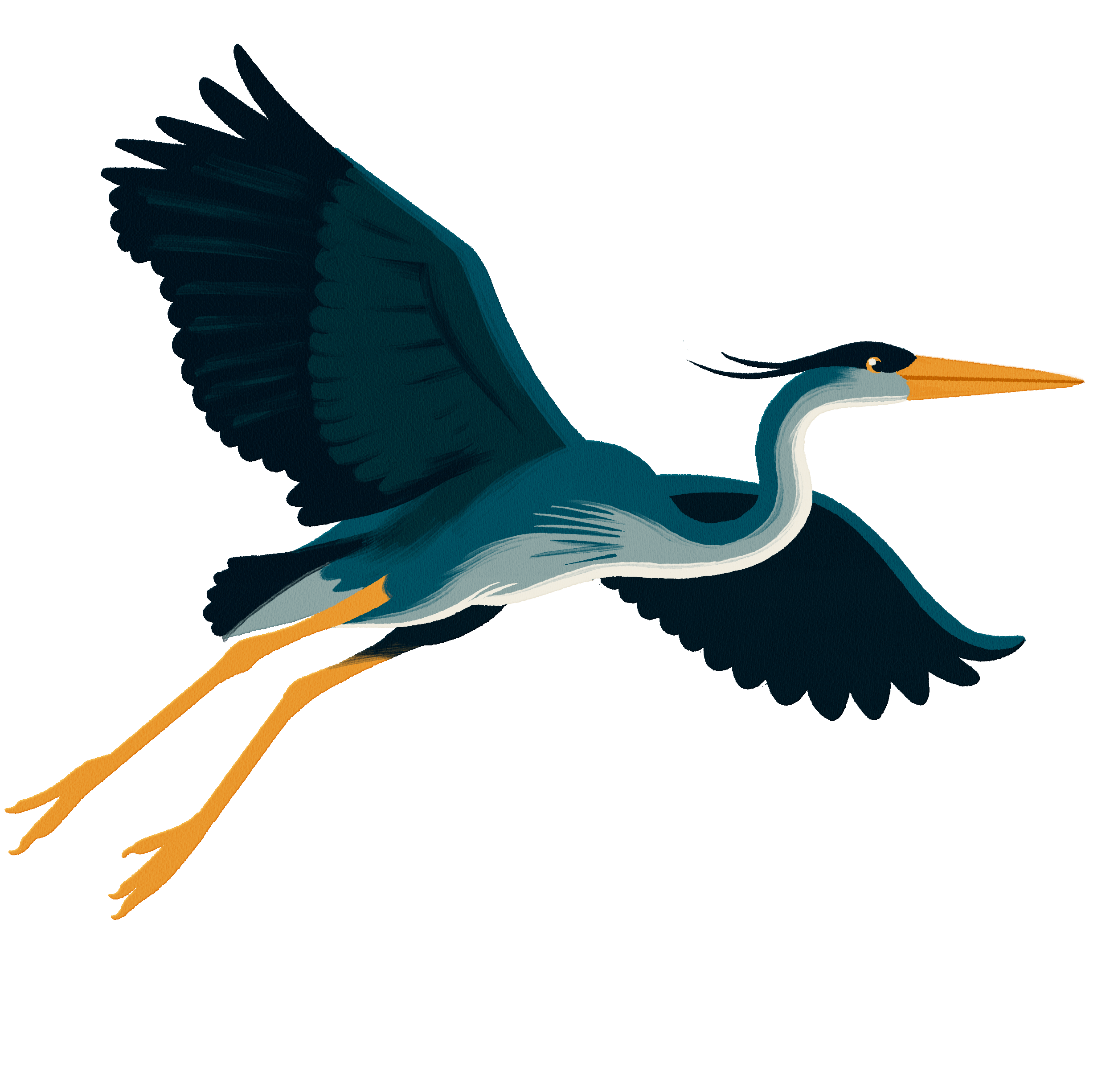 Flying heron