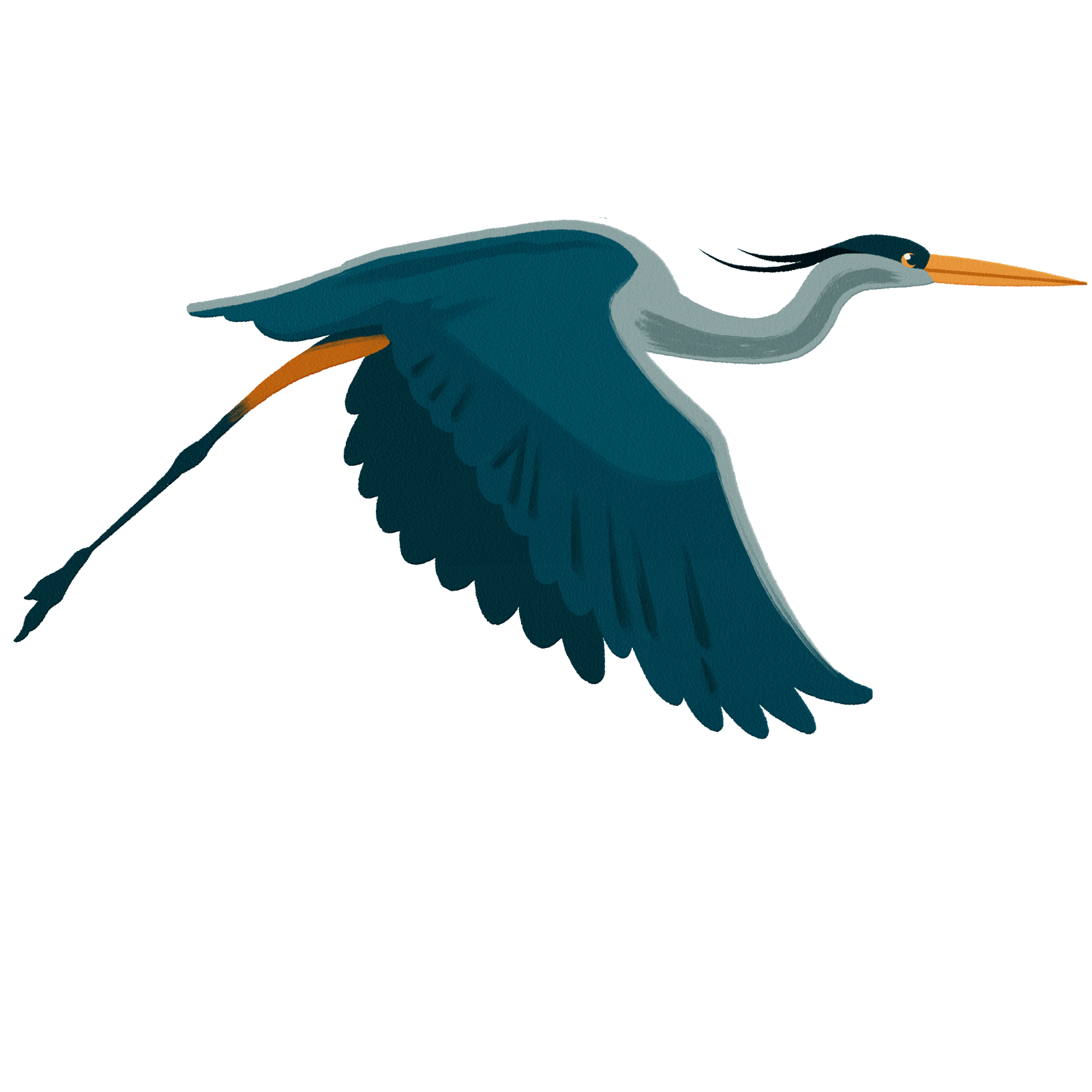 Flying heron